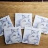 FarmhouseCreations.Store Lionhead Sticky Notes