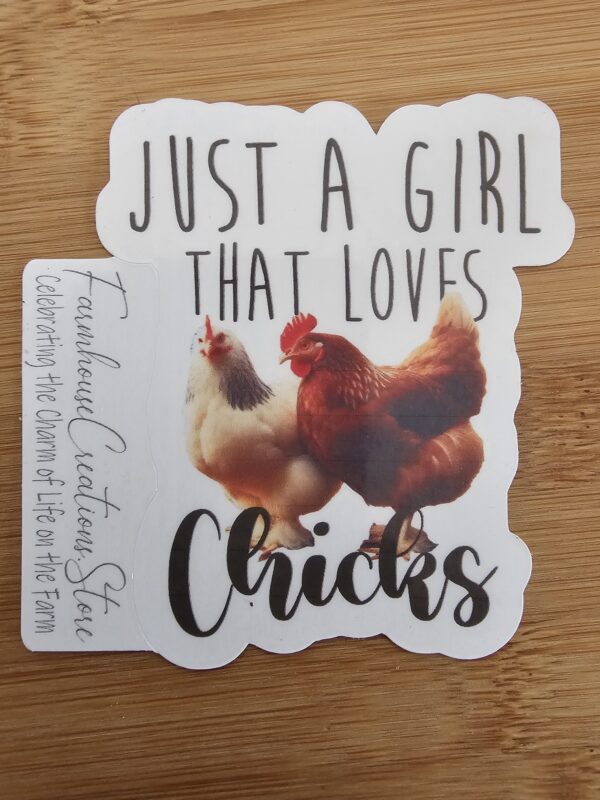 FarmhouseCreations.Store Just A Girl Who Loves Chickens Stickers