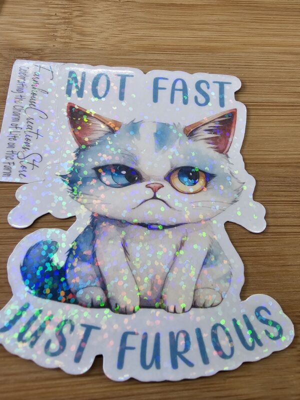 FarmhouseCreations.Store Not Fast Just Furious Cat Stickers