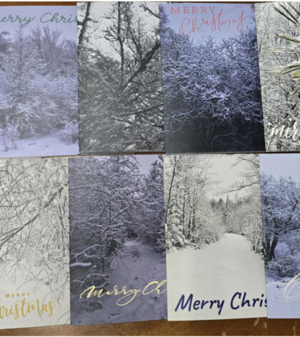 2024 A Simpler Time Farm White Christmas Greeting Card Set