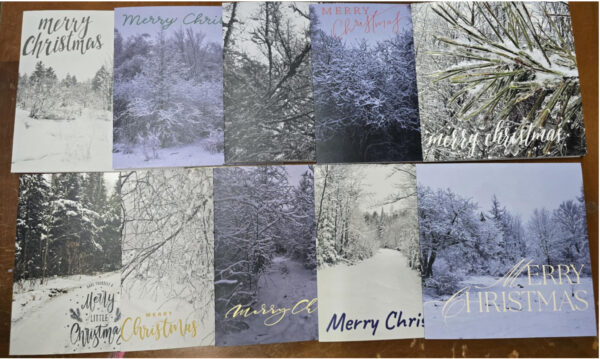 2024 A Simpler Time Farm White Christmas Greeting Card Set