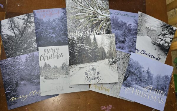 2024 A Simpler Time Farm White Christmas Greeting Card Set